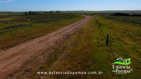 DOS EÓLICOS VIRA P FAZENDA_Moment.00_00_46_24.Quadro314_4aecbad0f0a42a286cca3be16d8923c667949f8d.jpg